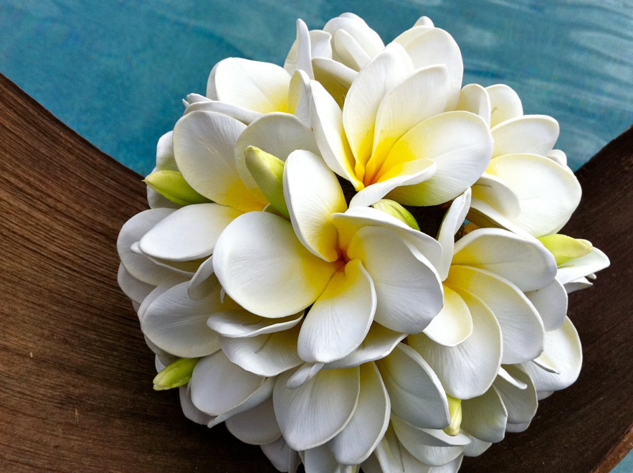 Плюмерия свадебный букет