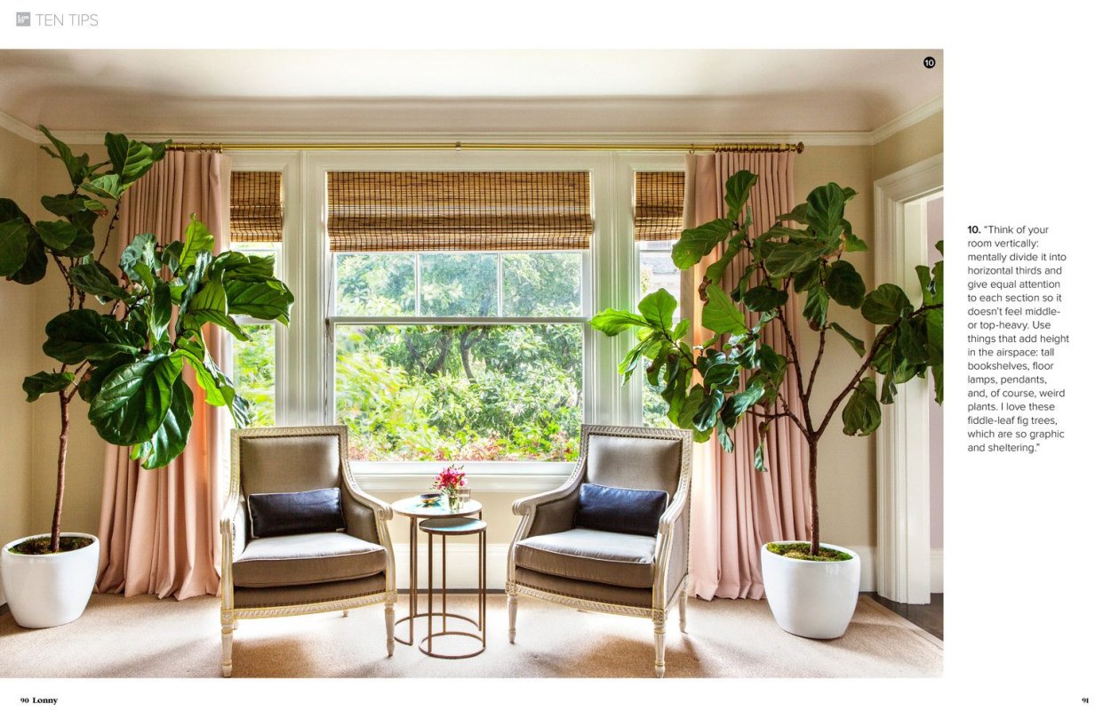 Фикус в дизайне квартиры