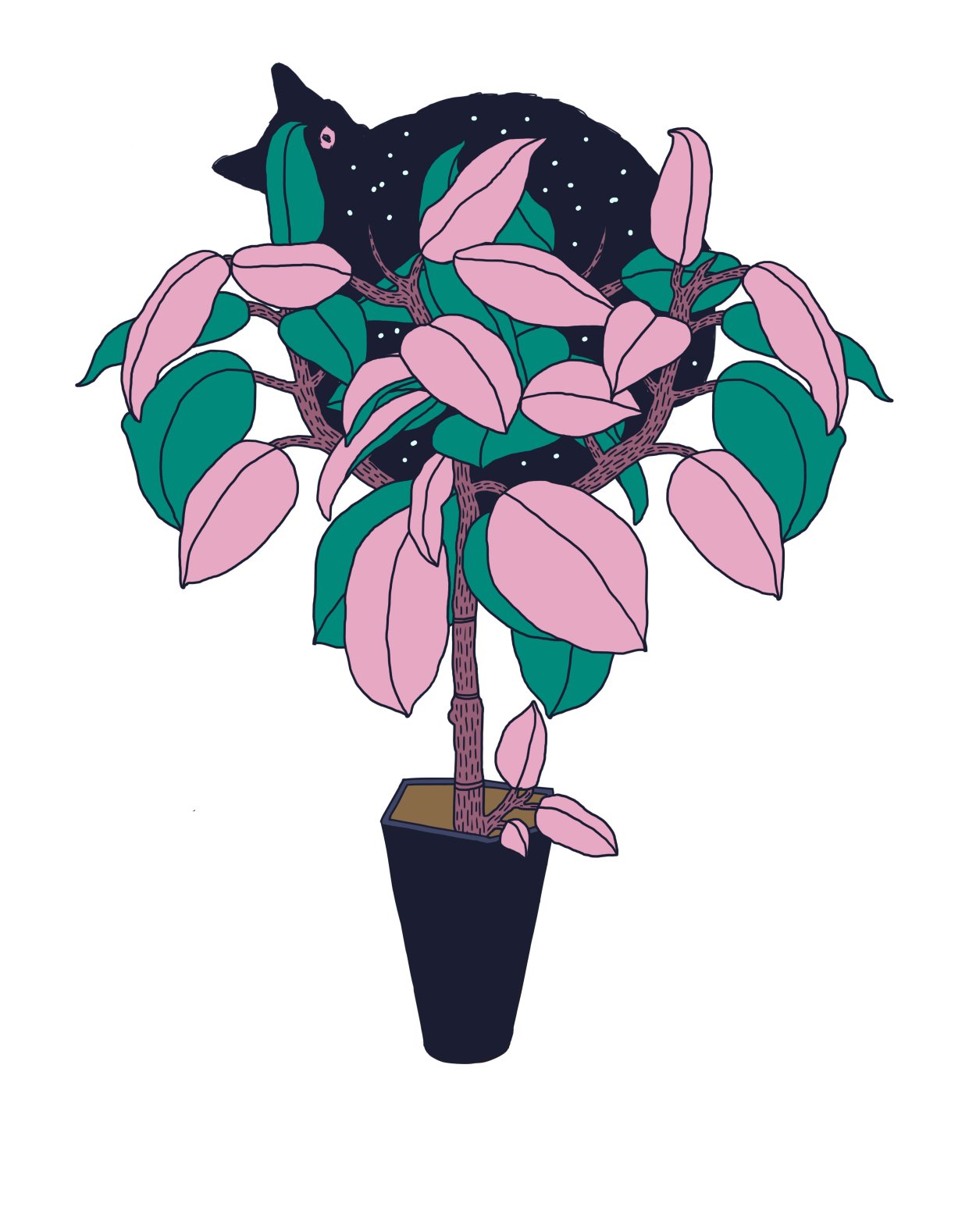 Фикус аниме