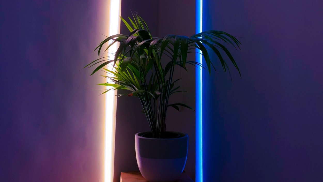 Неоновая подсветка растений