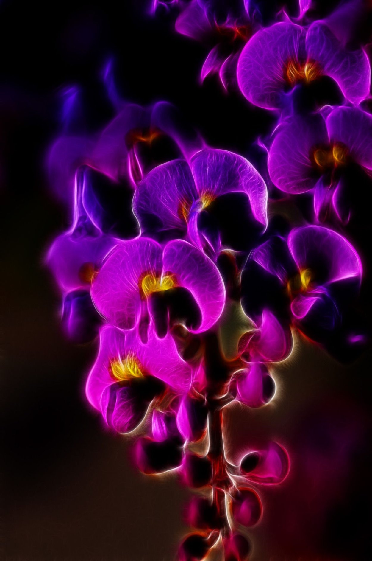 Редкий фиолетовый цветок