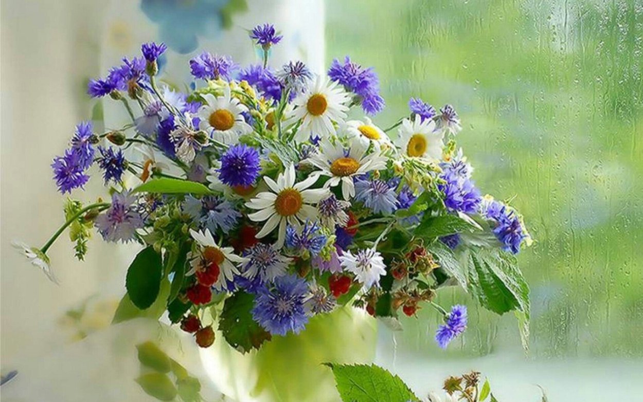 Полевые цветы с пожеланиями