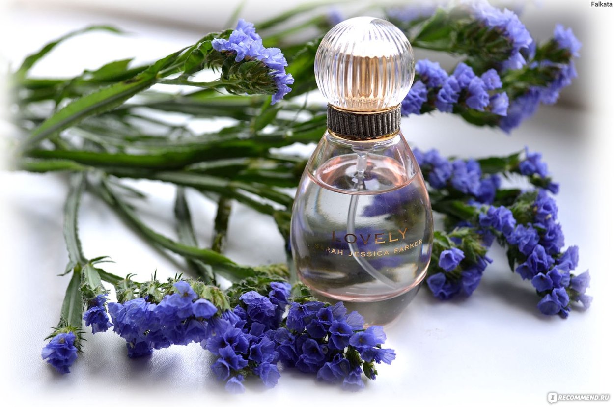 Картины Брэдшоу Parfum