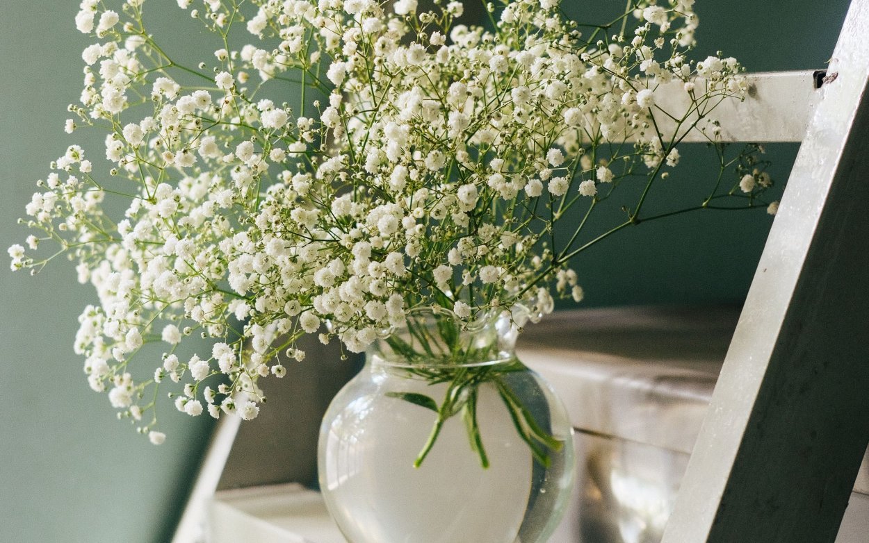 Букет фон Эстетика