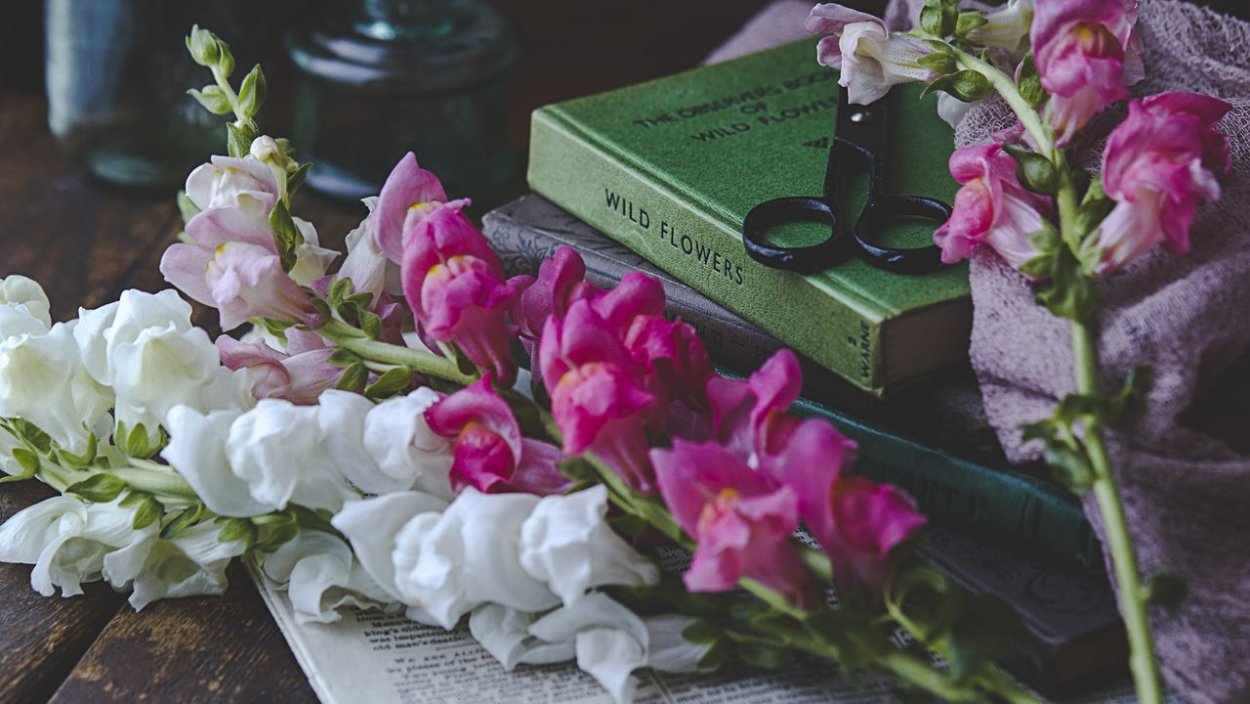 Эстетика книги и цветы обои