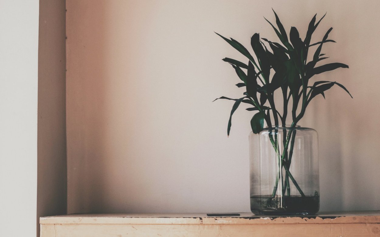 Эстетические цветы