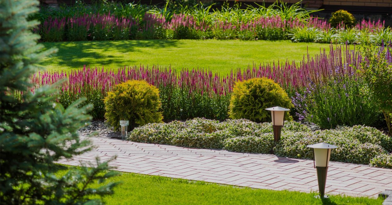 Ландшафт миксбордер