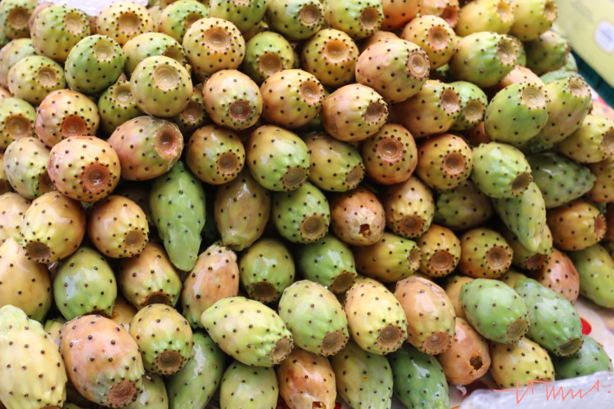 Фрукт Prickly Pear