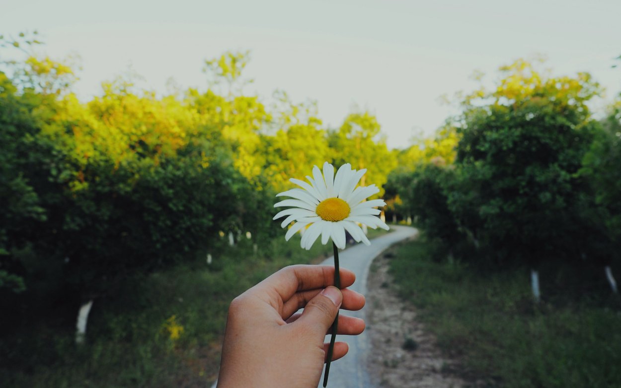 Цветочек в руке