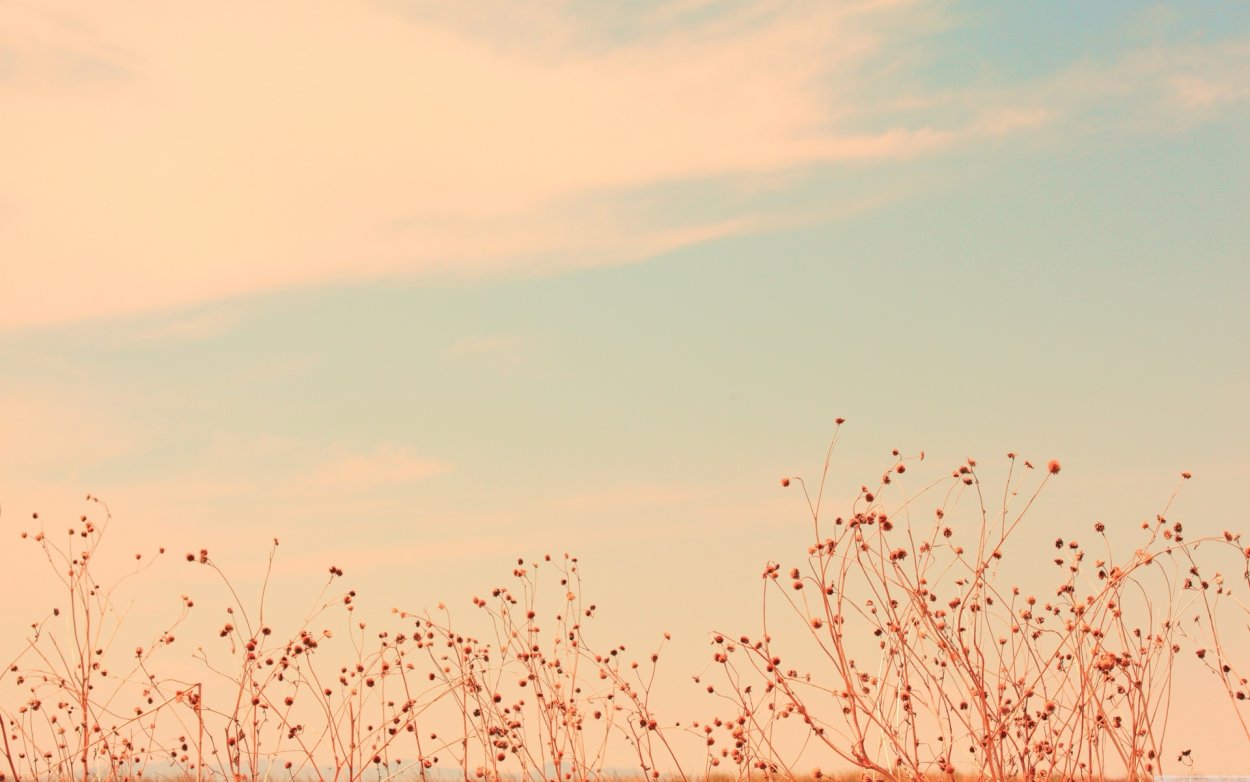 Шапка для твиттера