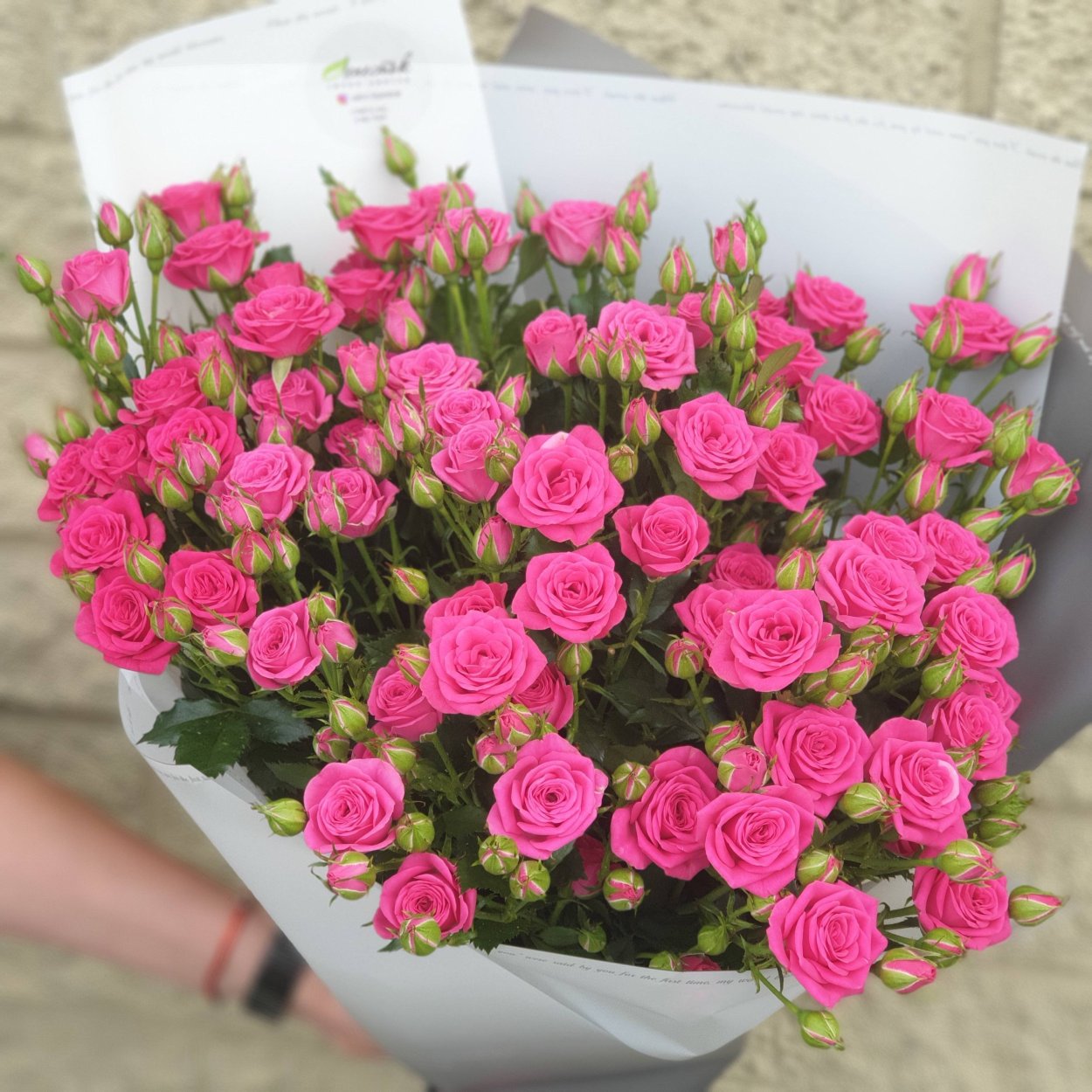 Роза кустовая Пинк блоссом