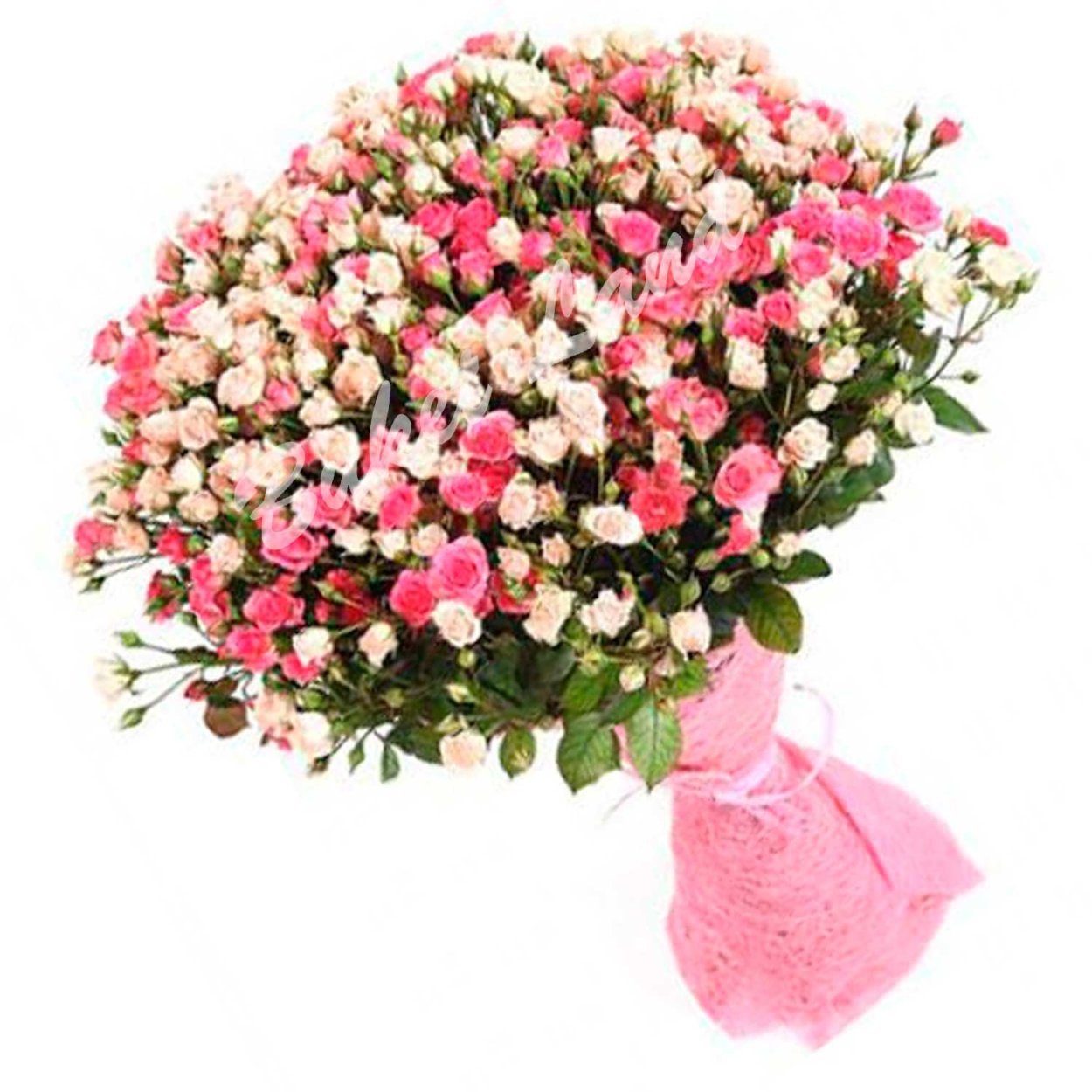 Роза кустовая росанелла