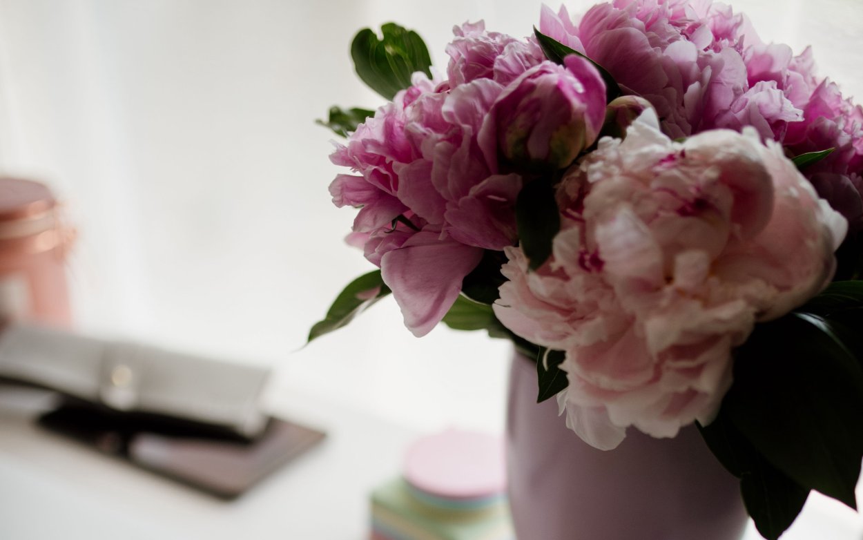 Пионы букет Эстетика