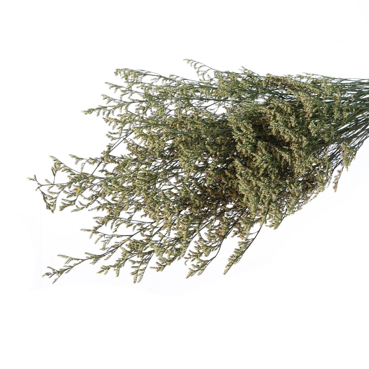 Висячие сухоцветы