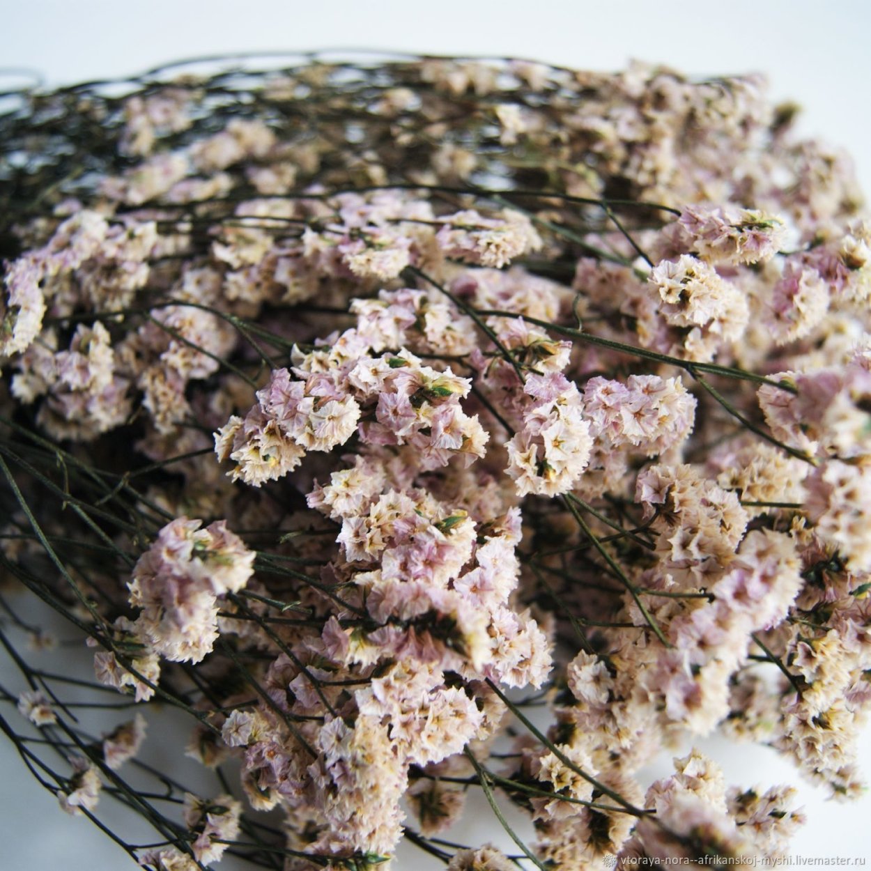 Лимониум стабилизированный в вазе