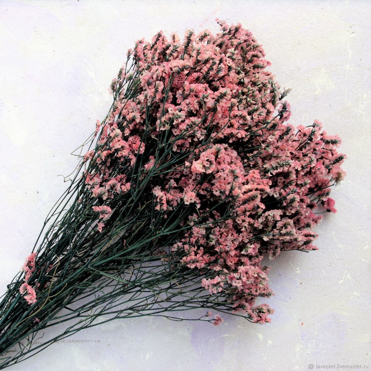 Сухоцветы кермек лимониум