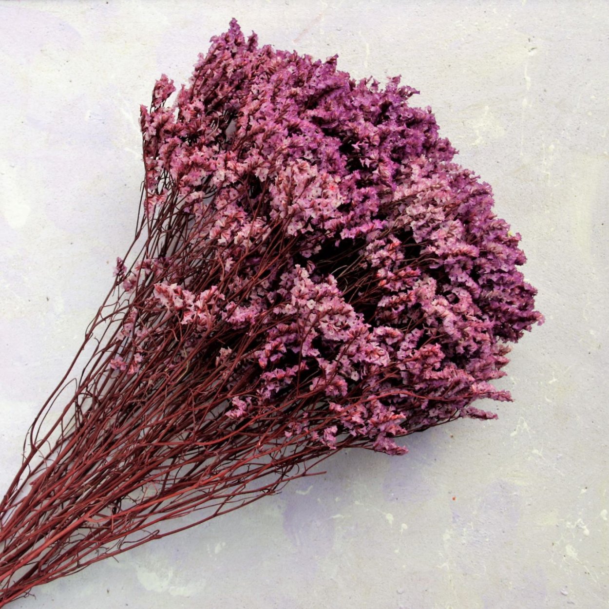 Цветок кермек лимониум