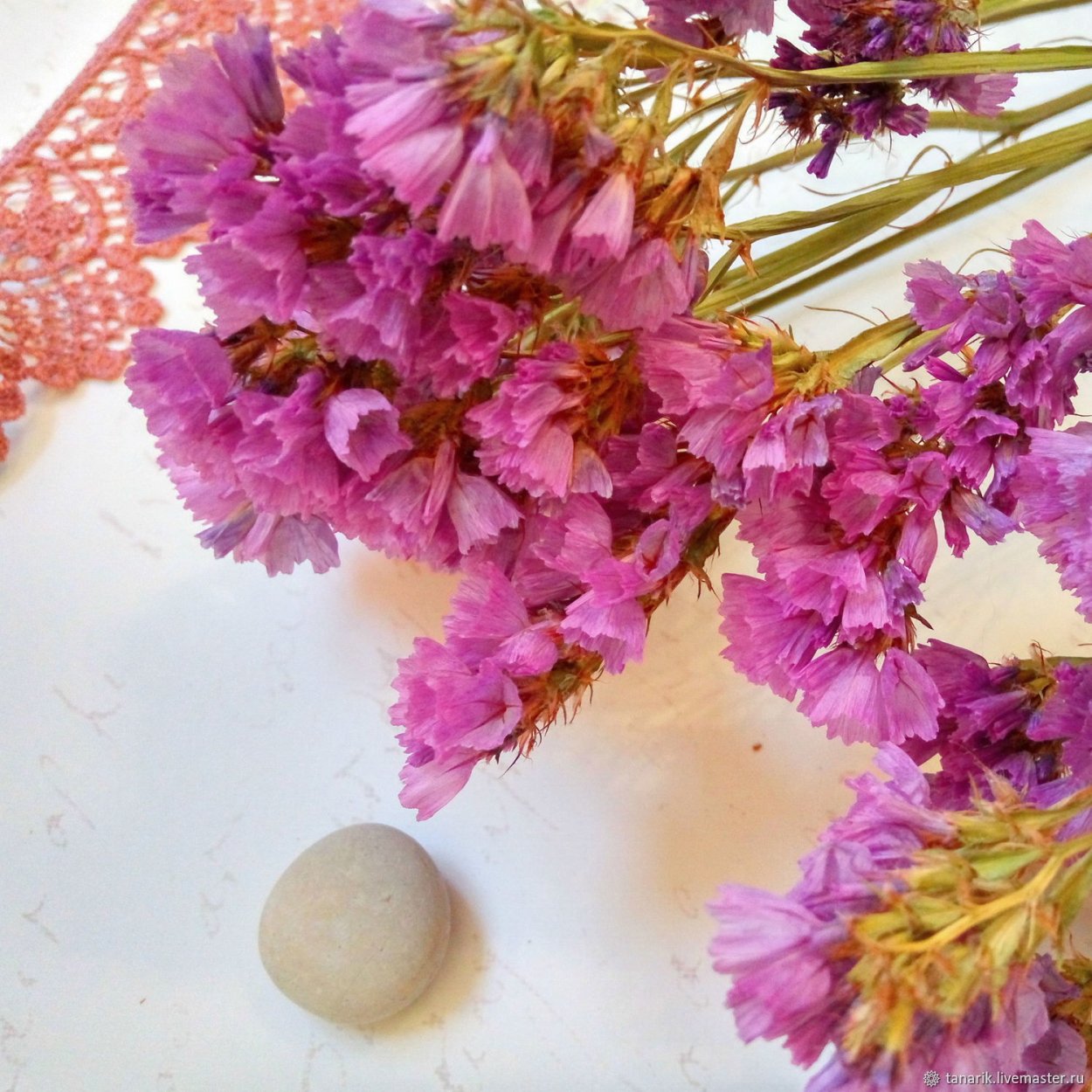 Лимониум сухоцвет статица