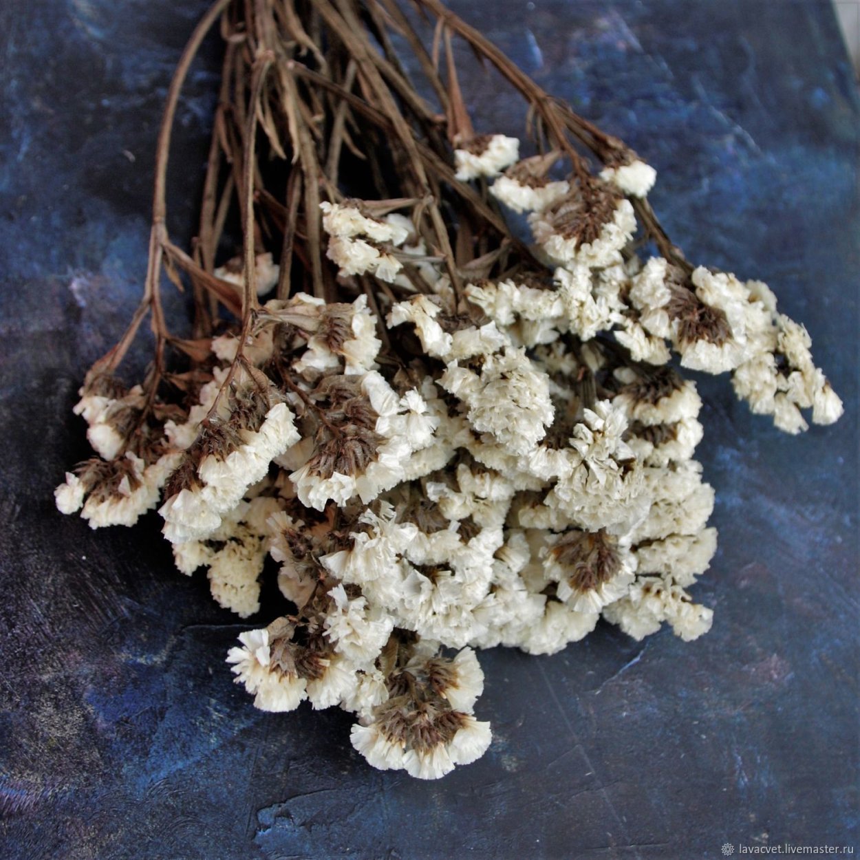 Статица стабилизированная