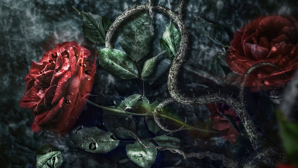 Готика розы