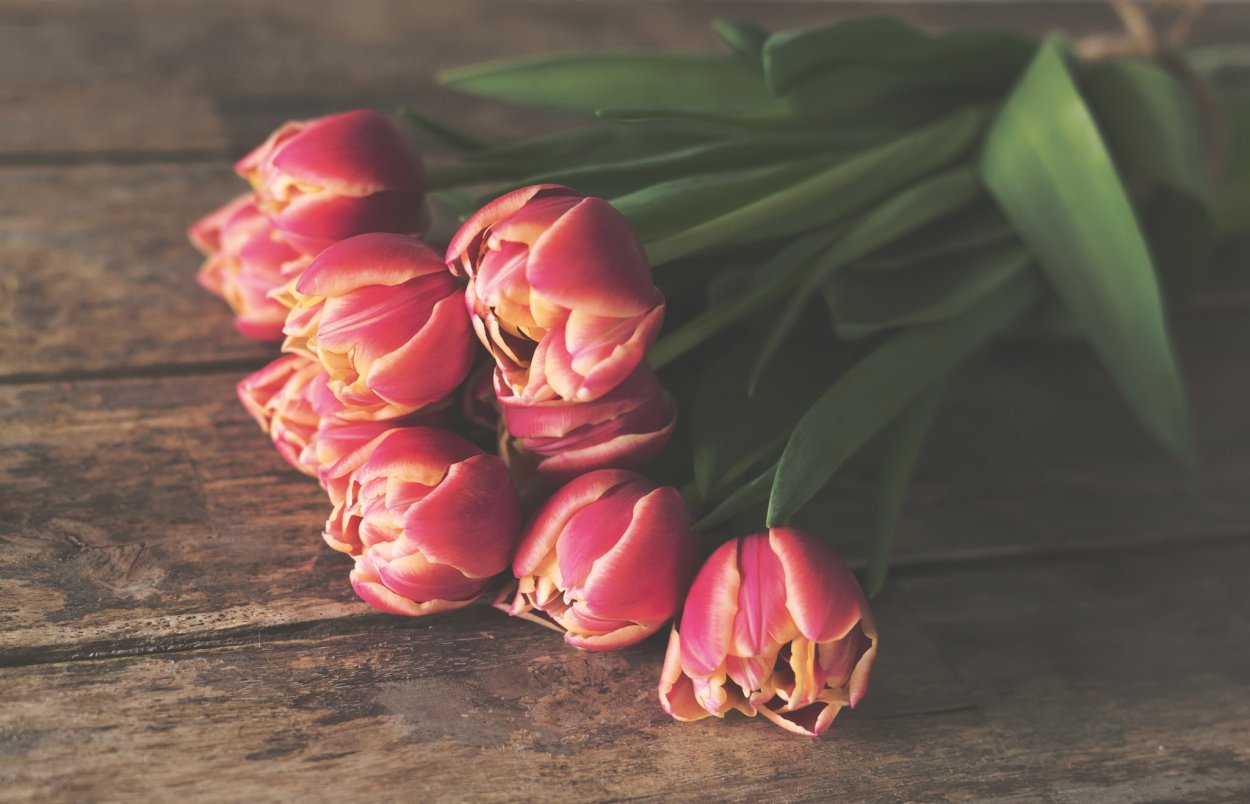 Букет тюльпанов