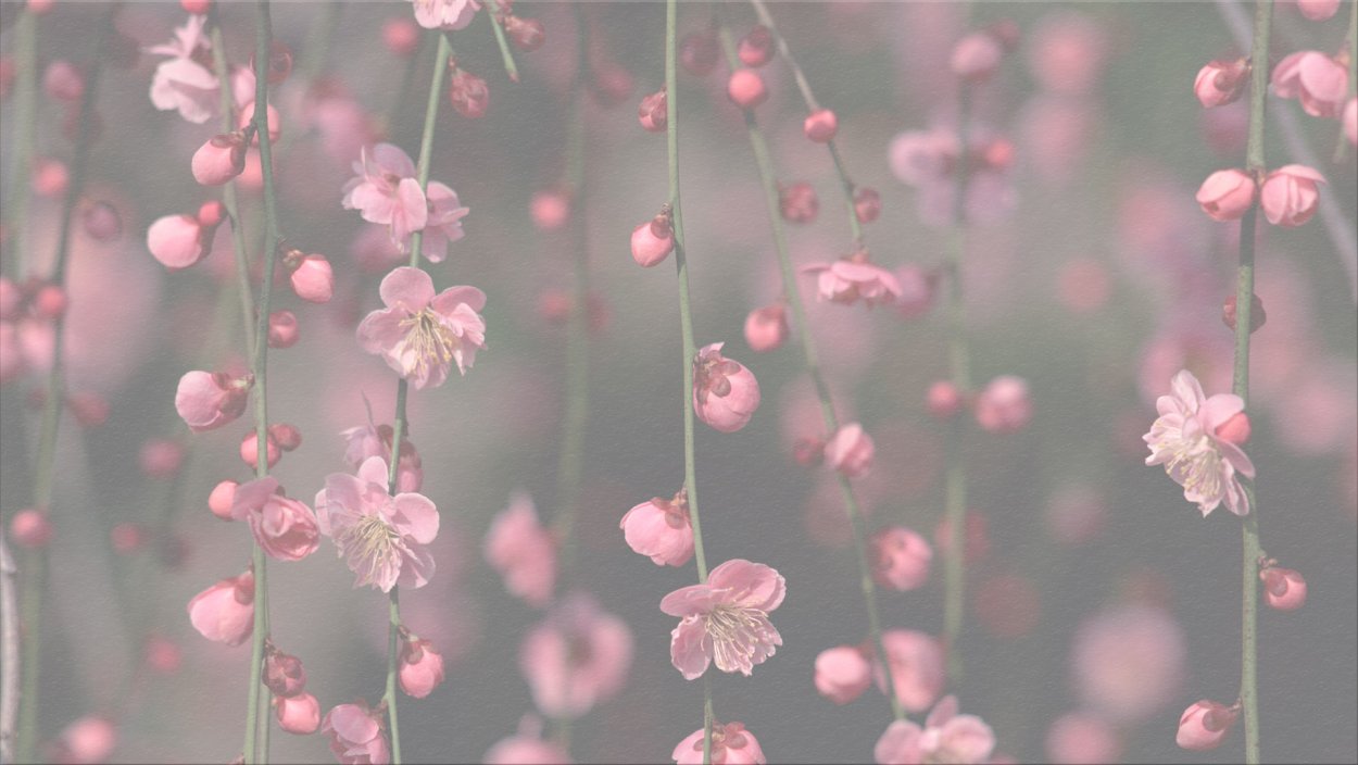 Серо розовый фон