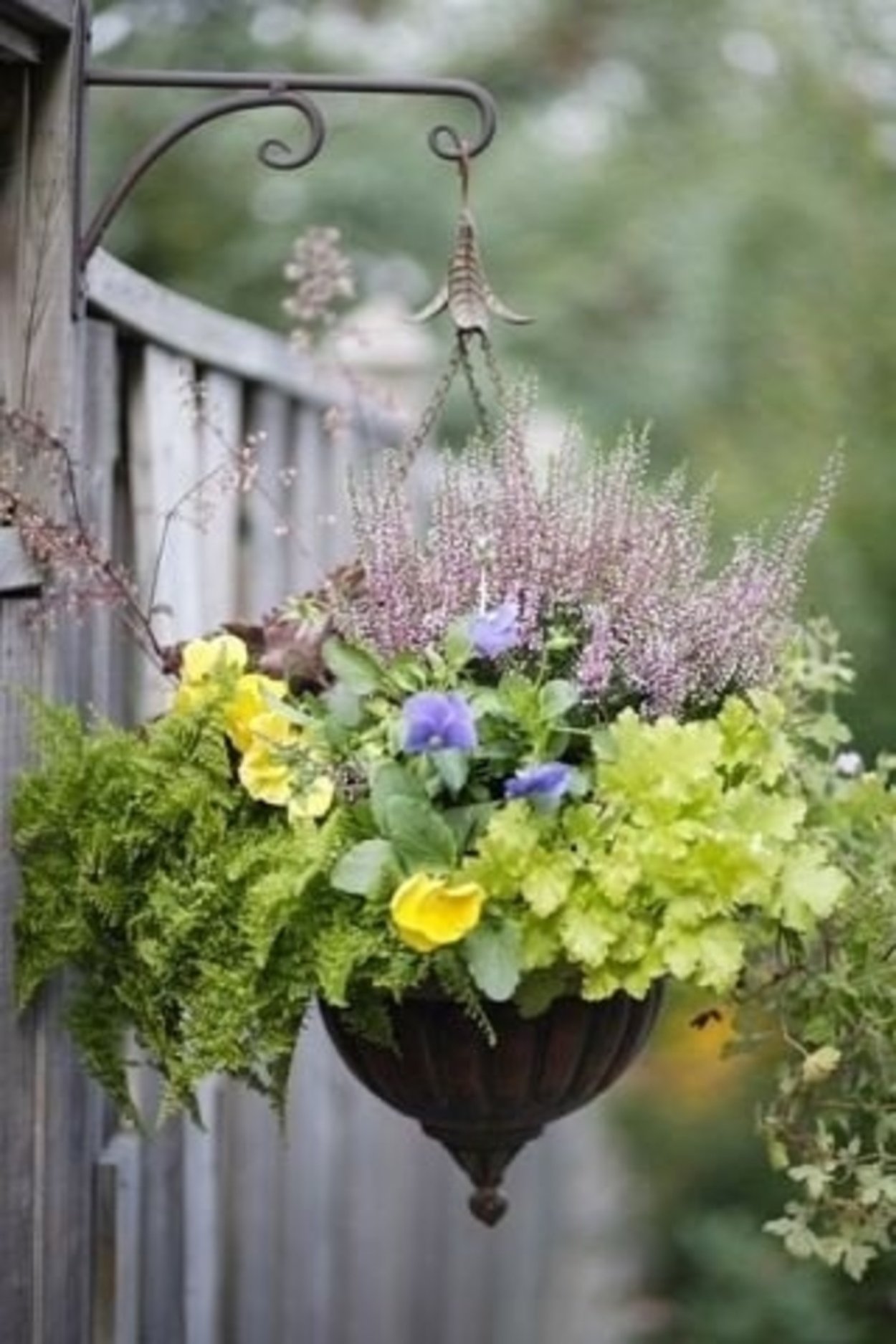 Цветочные композиции в кашпо для сада