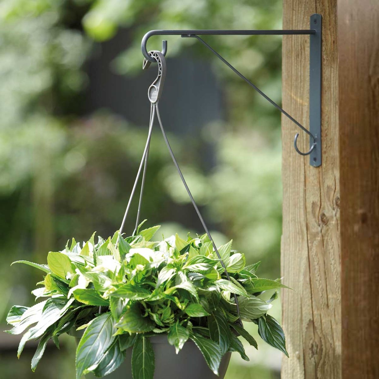 Кашпо подвесное