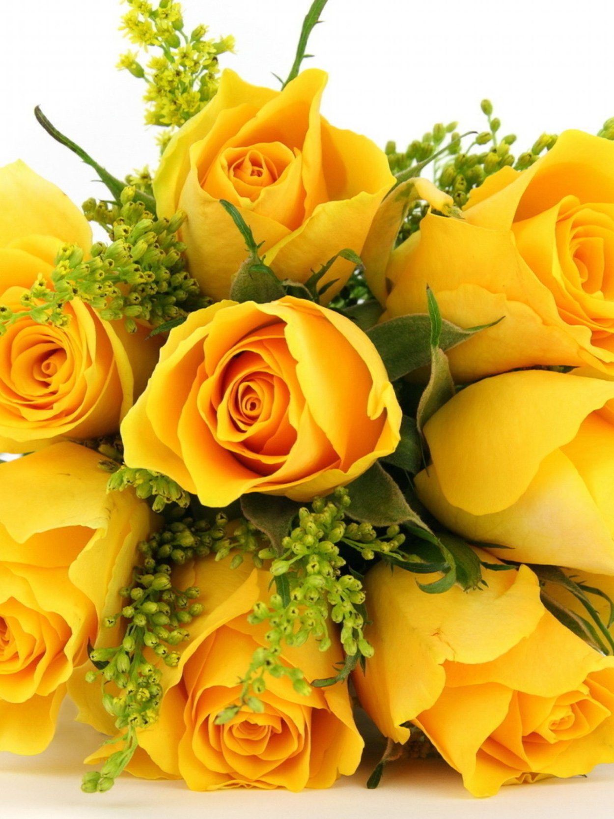 Цветы желтые розы