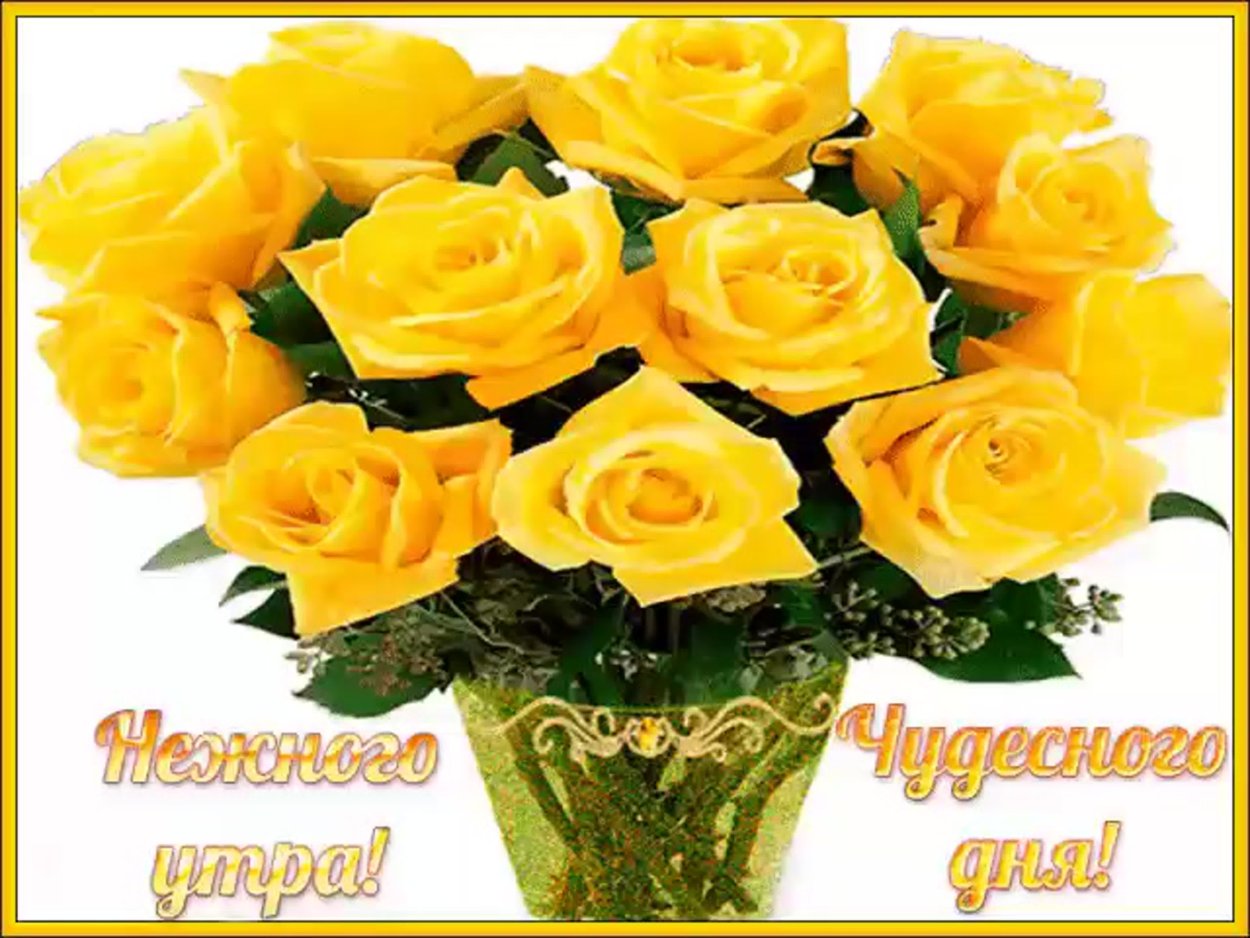 Букет роз с добрыми пожеланиями