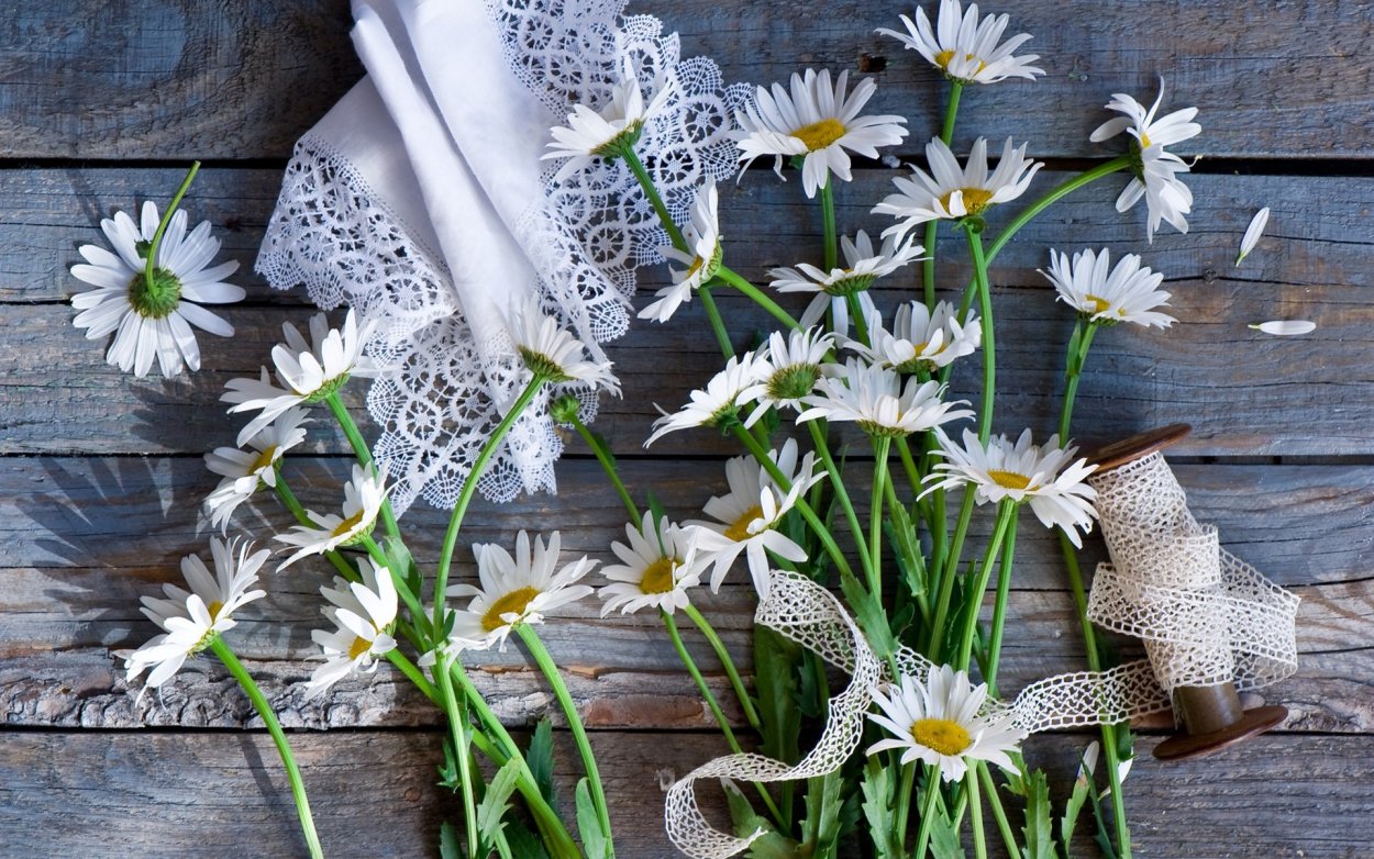 Необычные ромашки