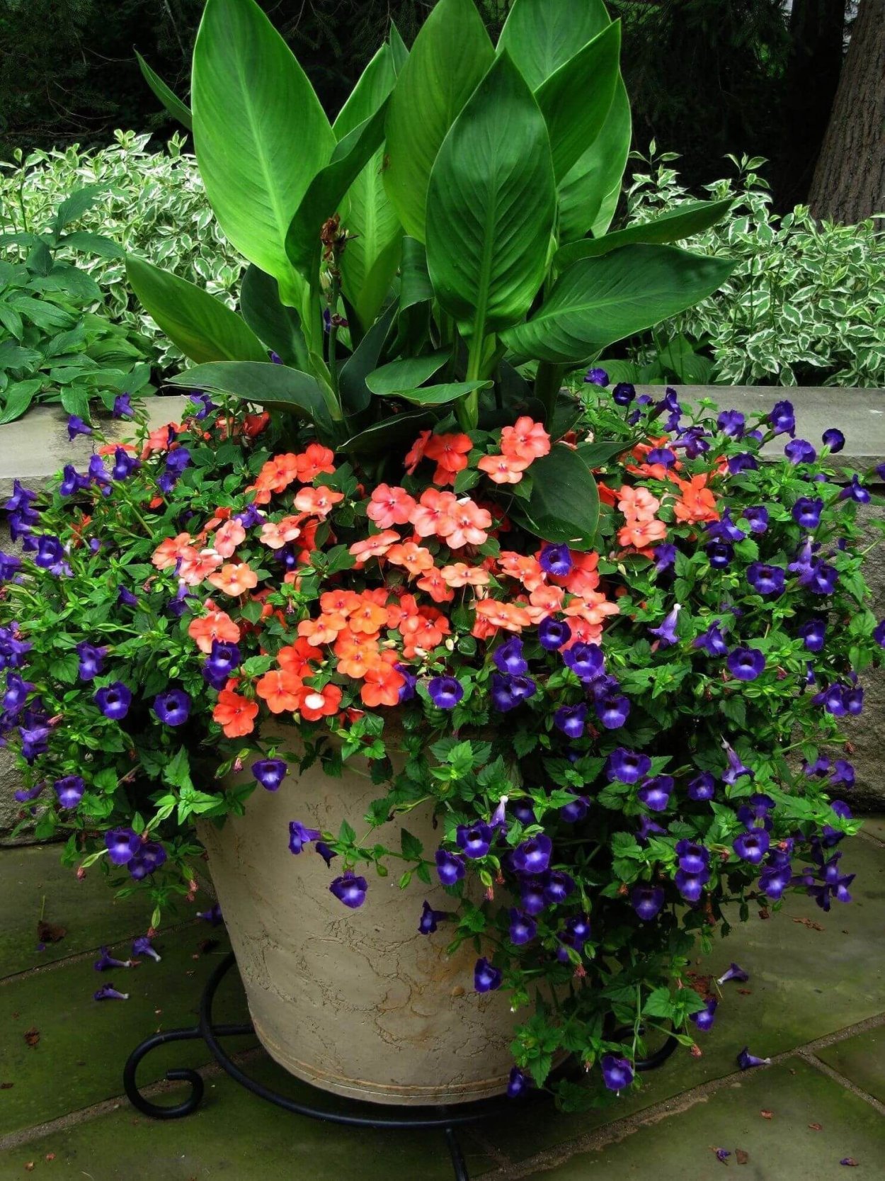 Контейнерное Озеленение однолетниками