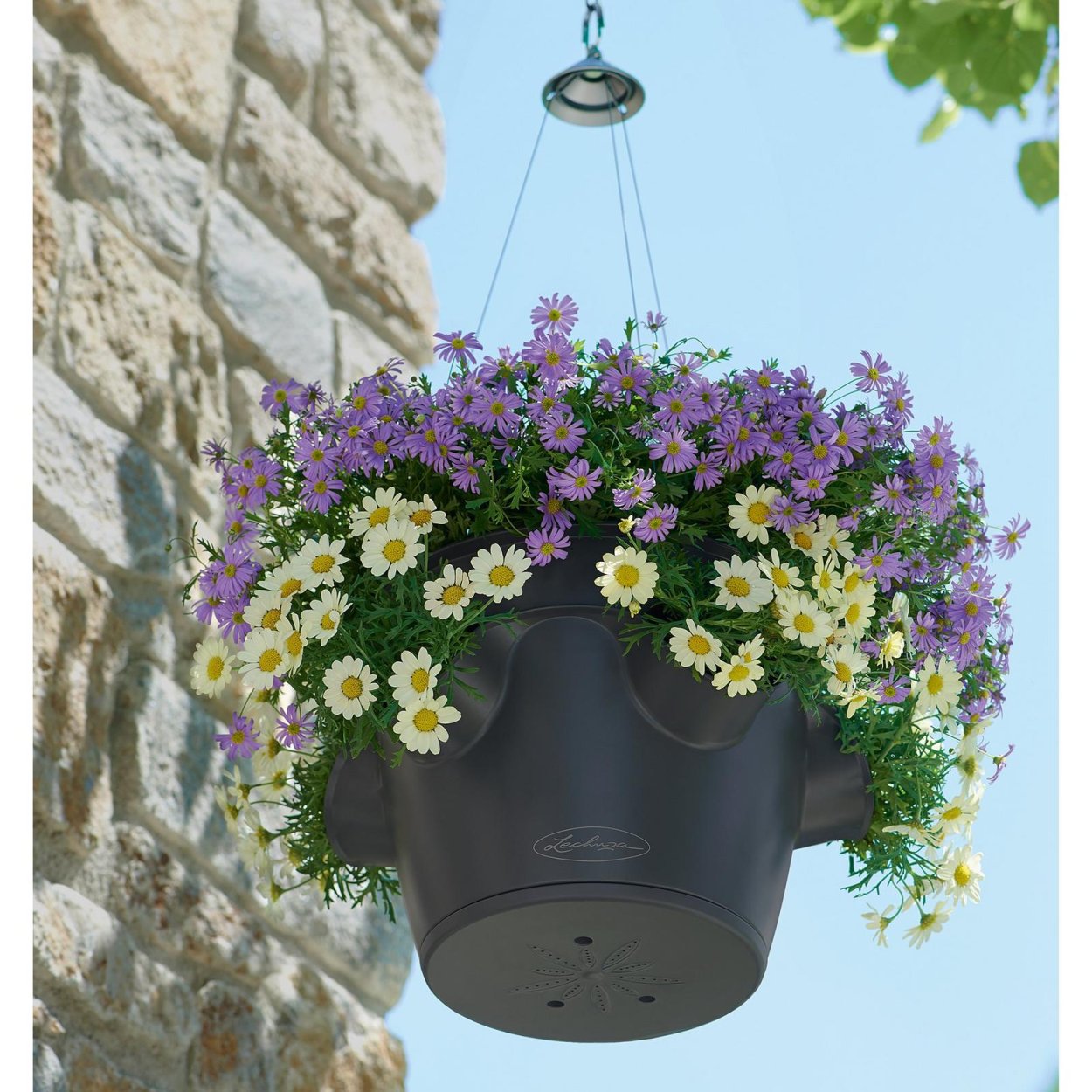 Лечуза подвесное кашпо