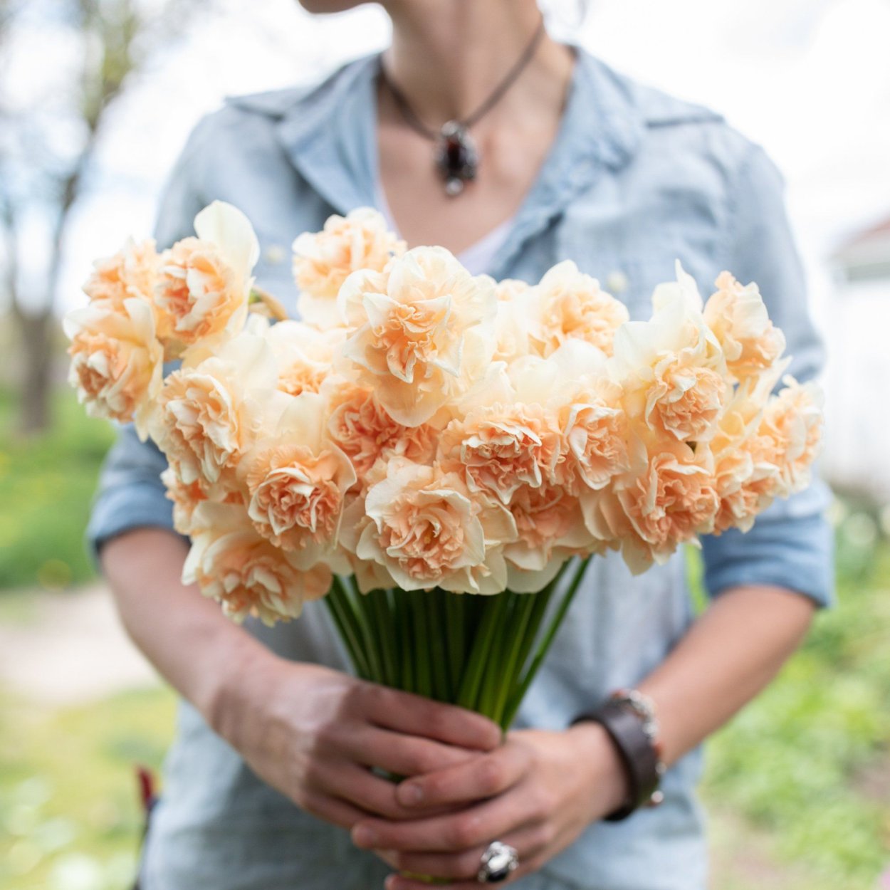 Нарцисс Рози Клауд