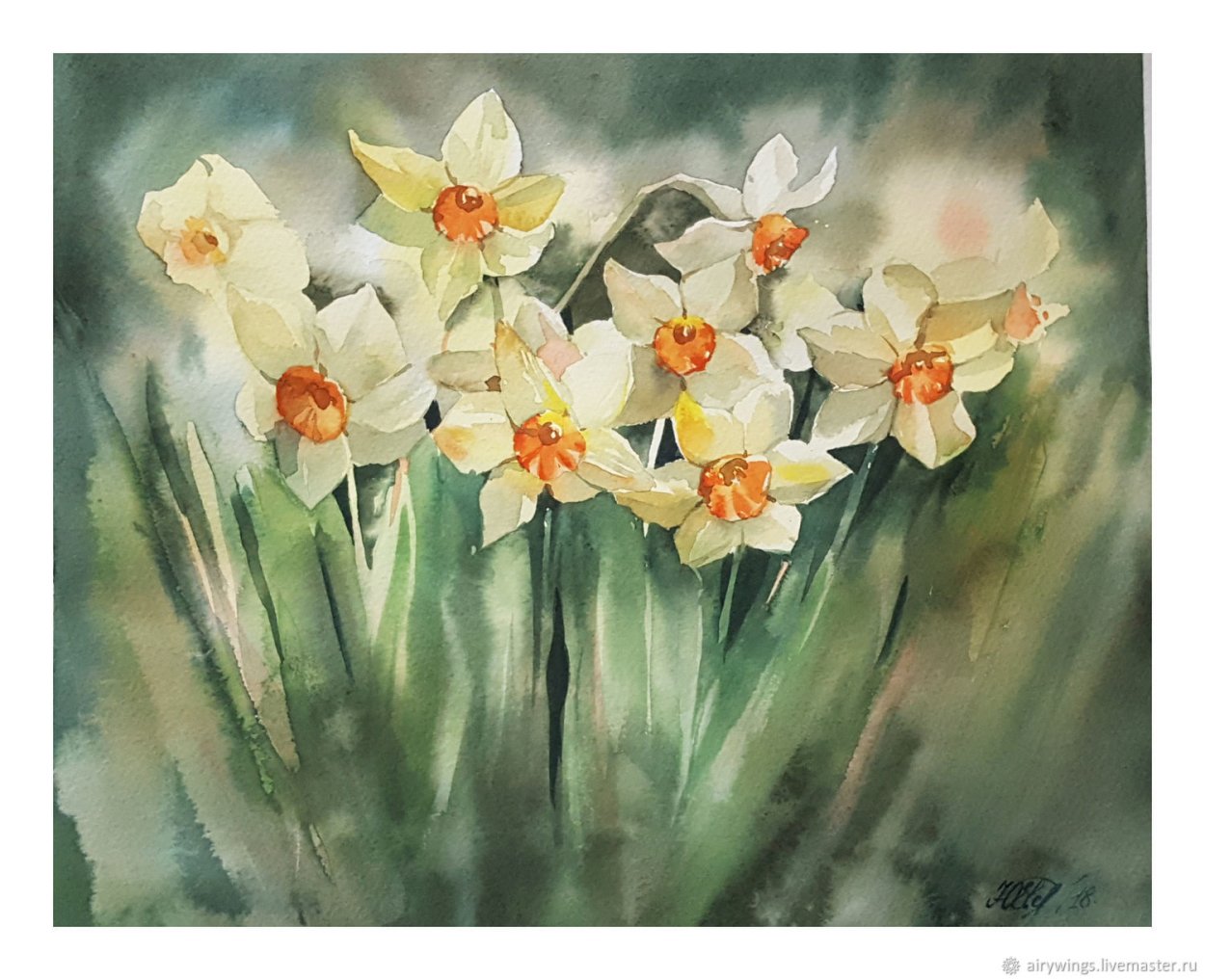 Нарциссы акварелью Андрияка