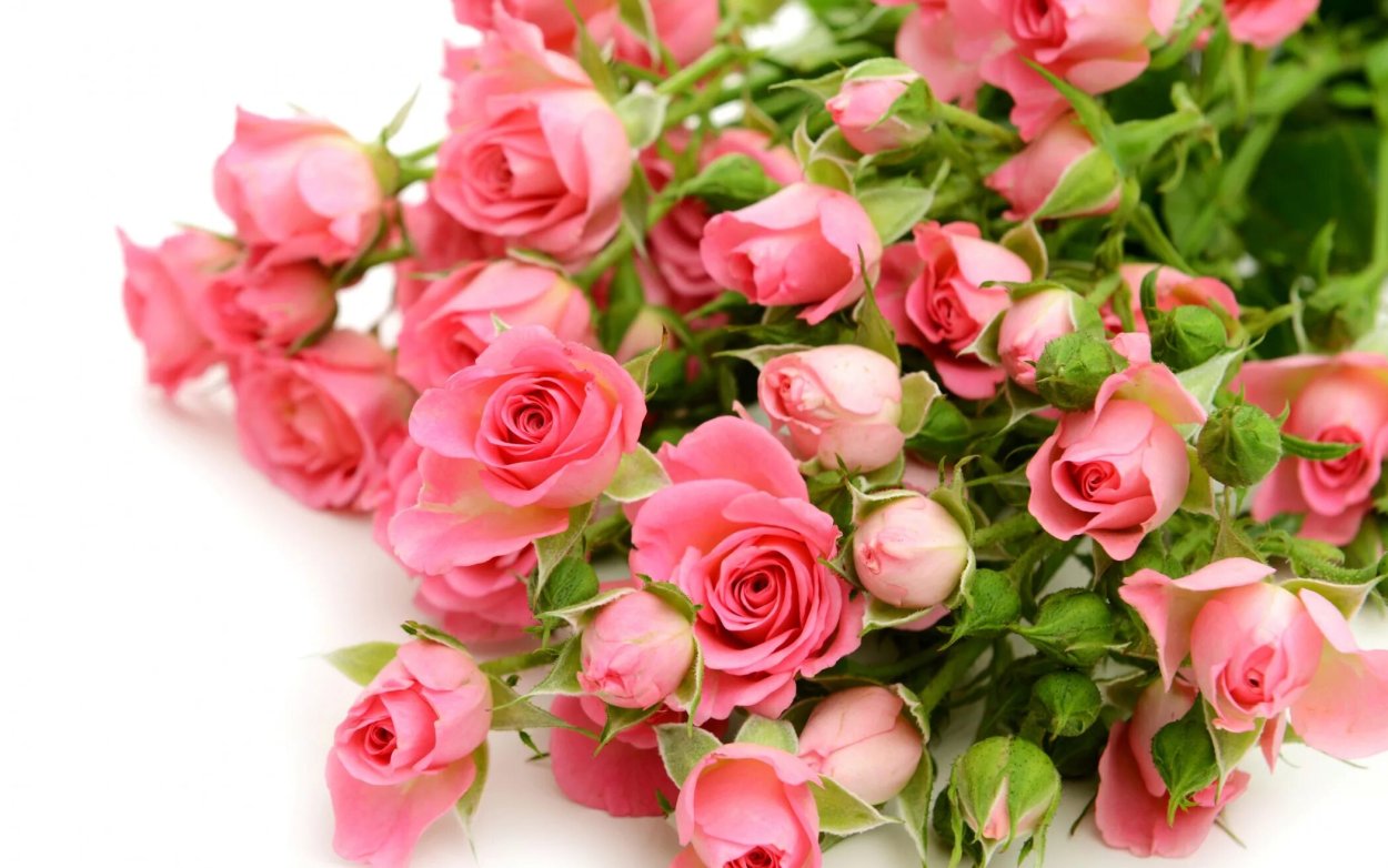 Цветы поздравления