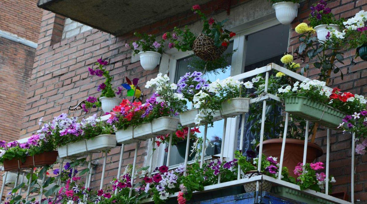 Цветник на балконе
