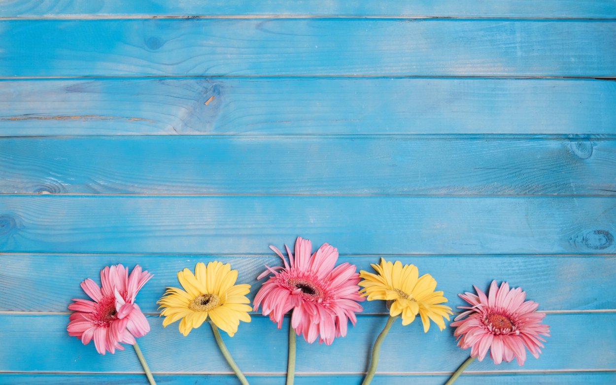 Цветы на деревянном фоне