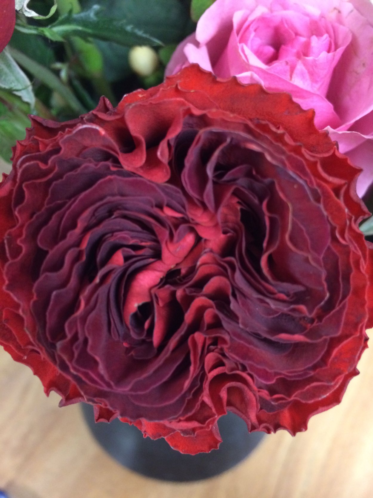 Хартс Hearts роза