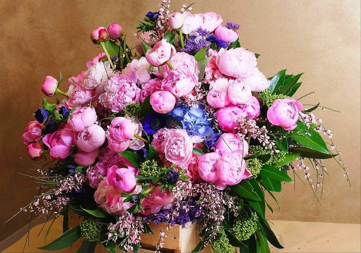 Цветы пионы букет