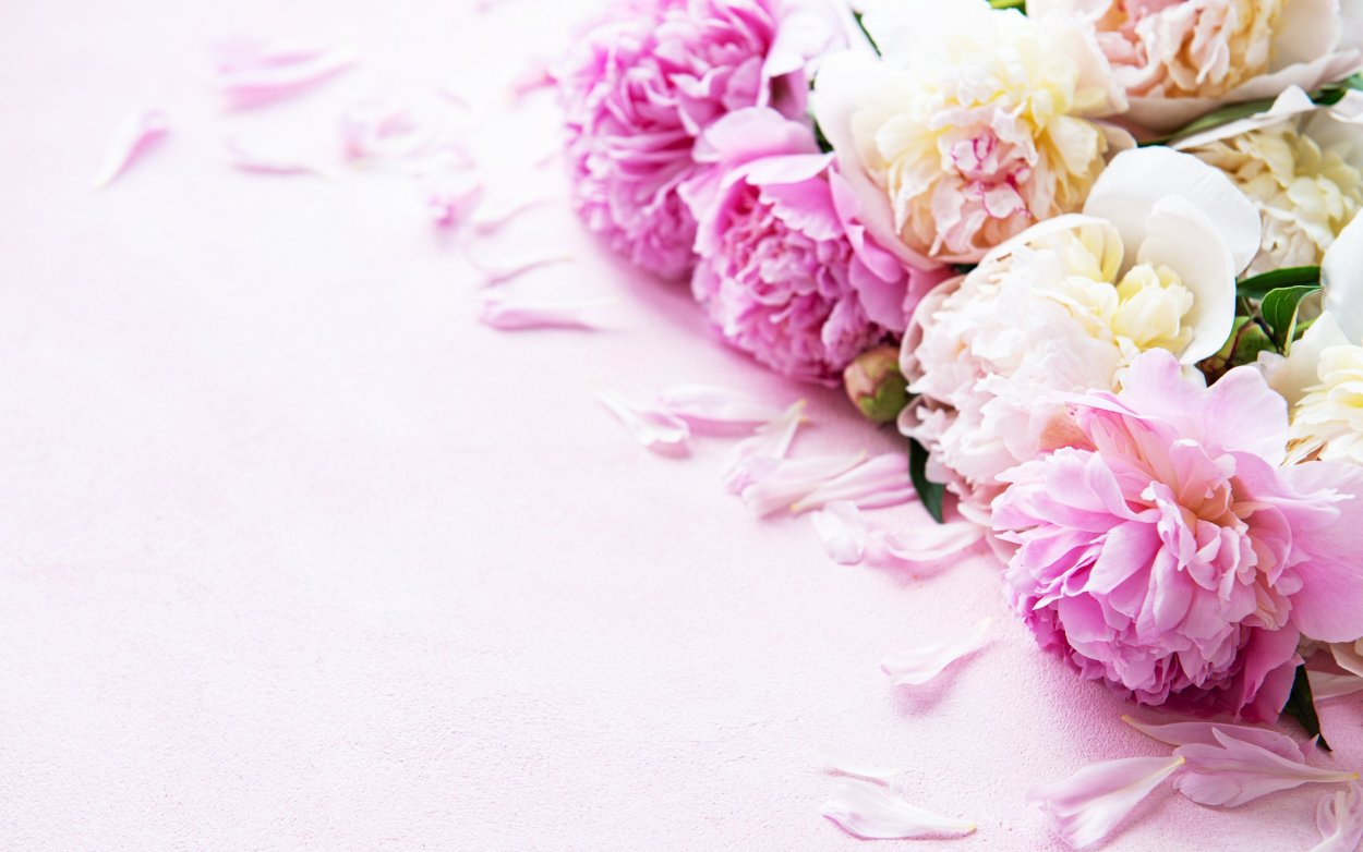 Нежный фон с пионами