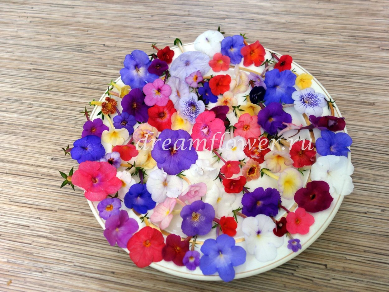 Микс из цветов "дружная семейка"