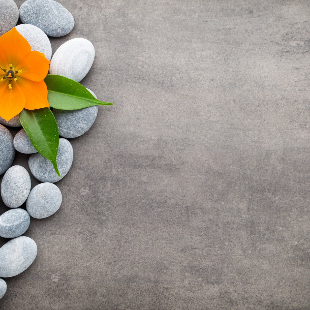 Цветы камни