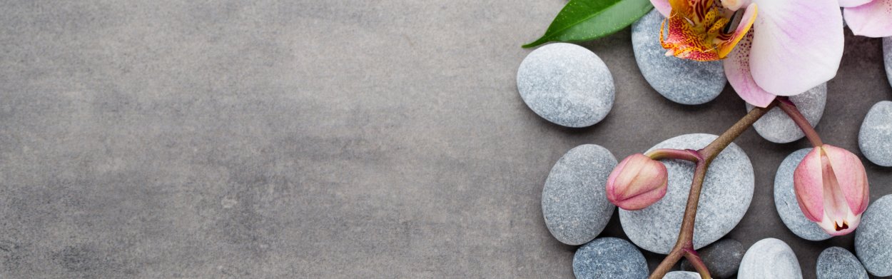 Веточки. Камешки