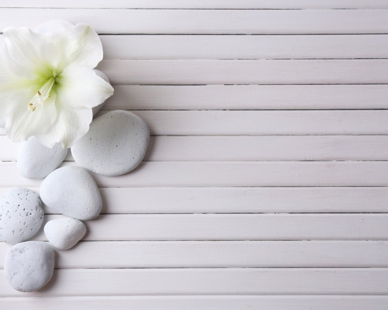 Фотофон светлый