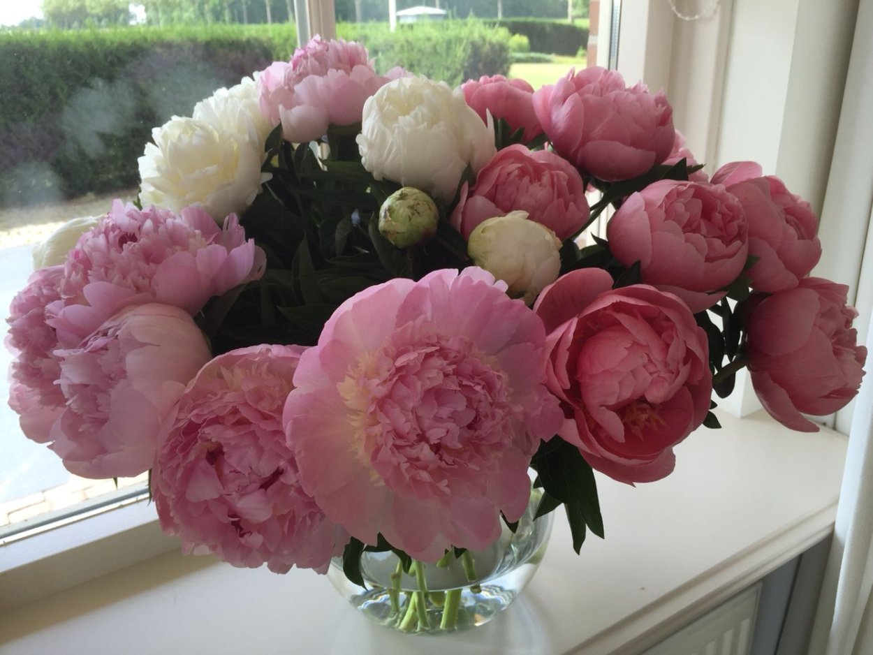 Пион Этчед Салмон букет