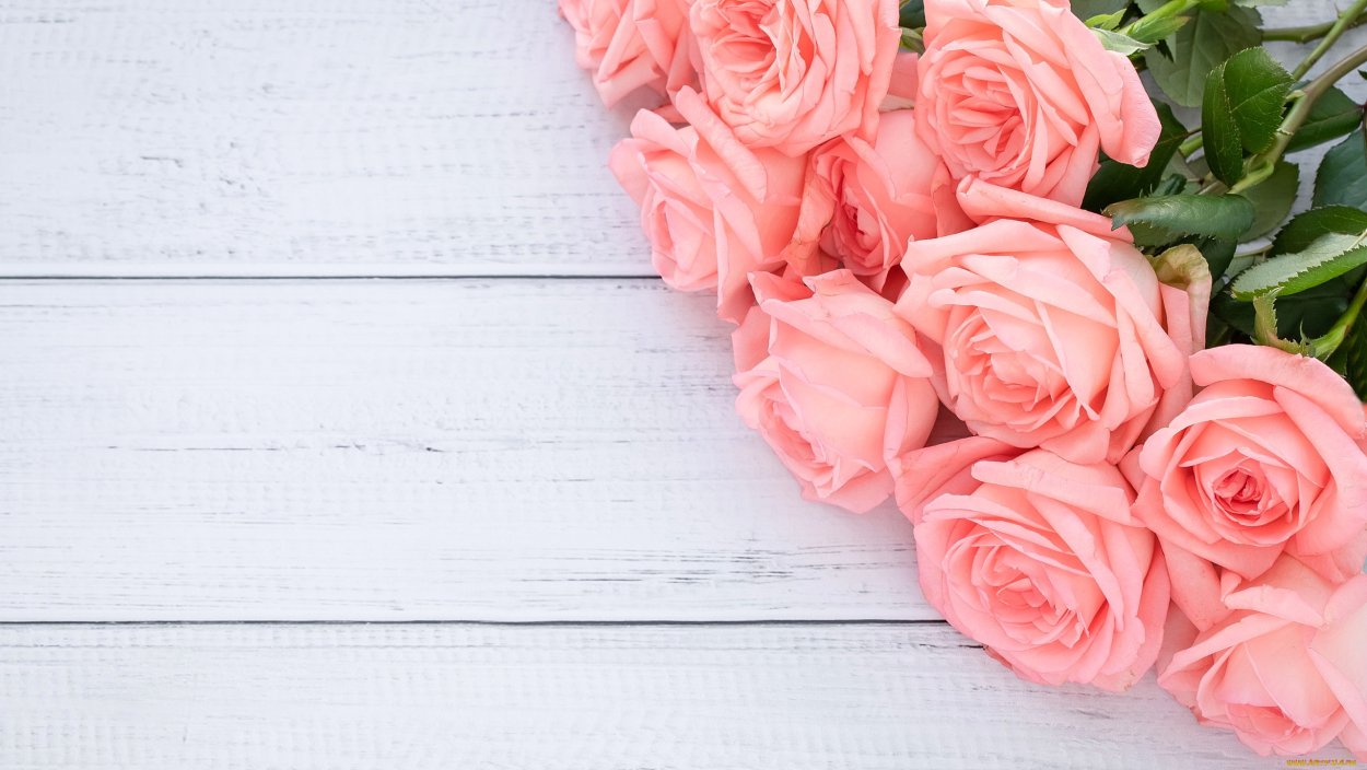 Нежные розы