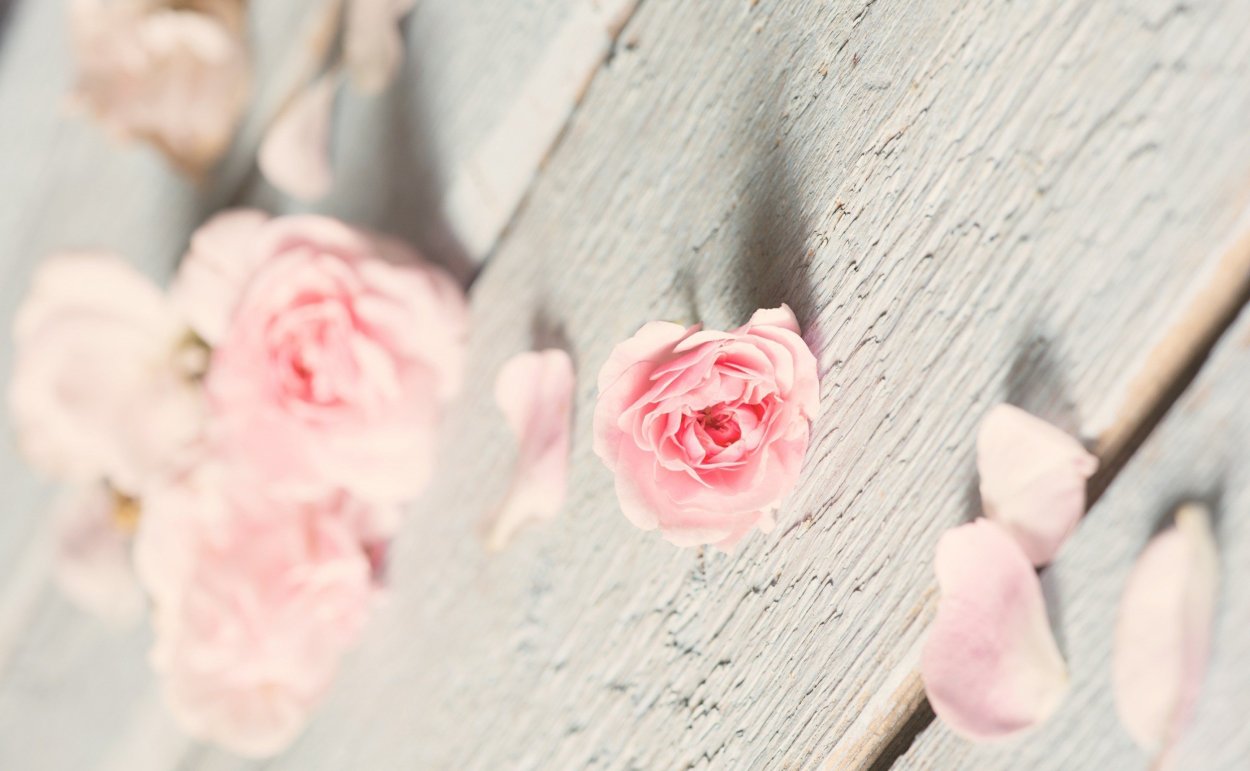 Нежный цветок