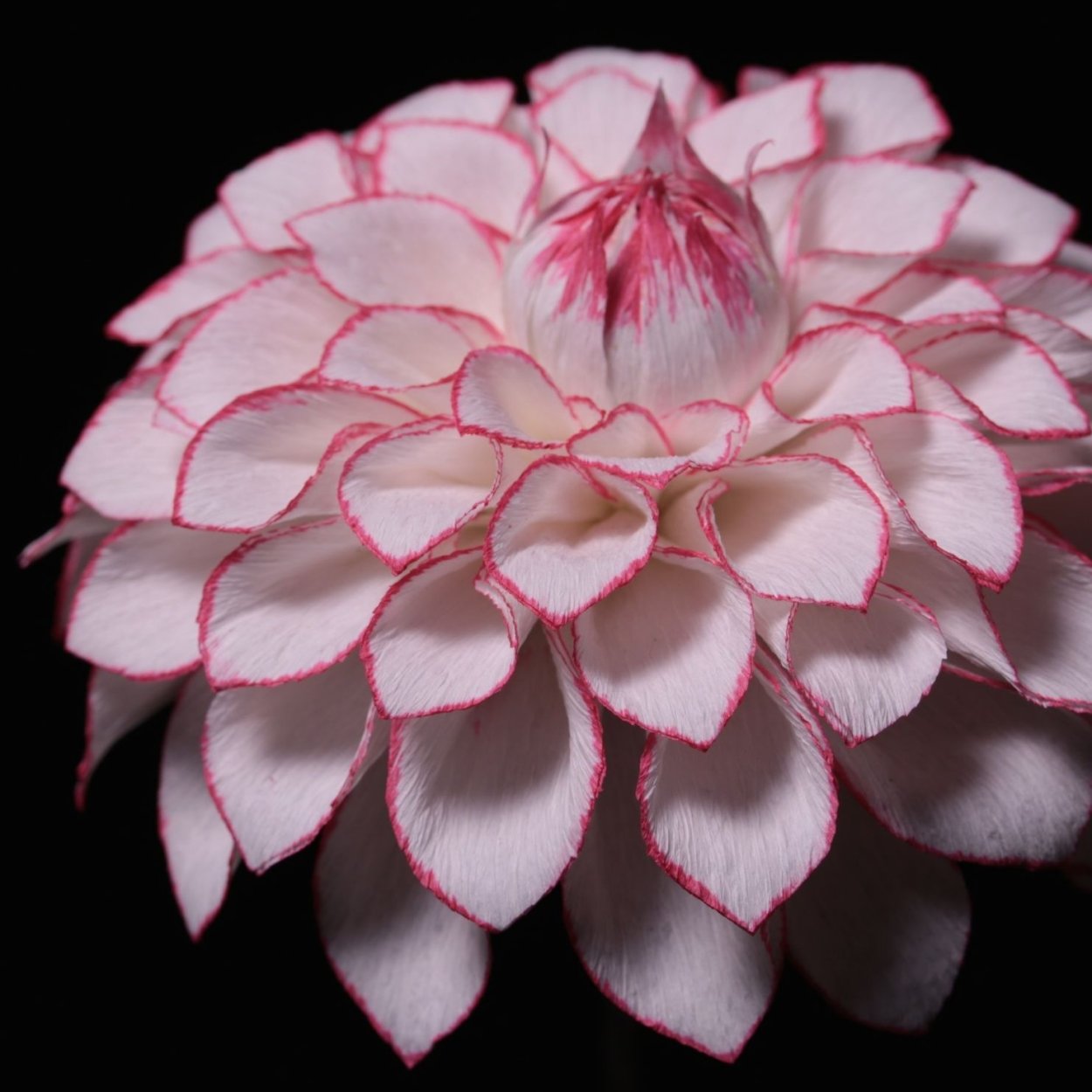 Георгин из бумаги