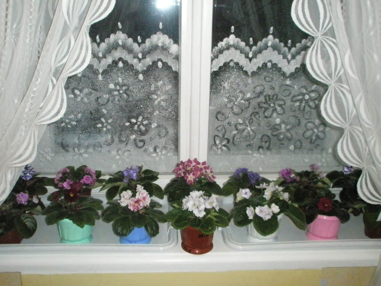 Притенить окно для цветов